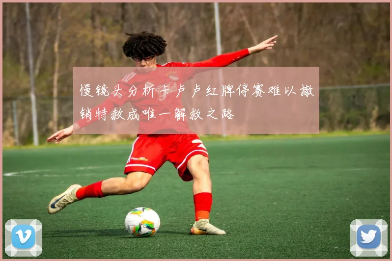 慢镜头分析卡卢卢红牌停赛难以撤销特赦成唯一解救之路